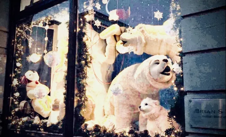 christmas bears shop window