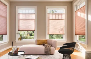 Luxaflex Living Room Blinds